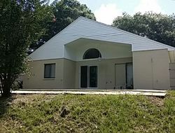 Pre-foreclosure in  SPINNING WHEEL DR Lutz, FL 33559