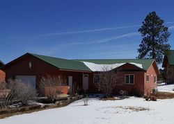Pre-foreclosure Listing in NAVAJO CT PAGOSA SPRINGS, CO 81147