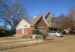 Pre-foreclosure in  CHARLOTTE OAK CV Arlington, TN 38002