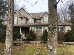 Pre-foreclosure in  SYCAMORE DR East Stroudsburg, PA 18301