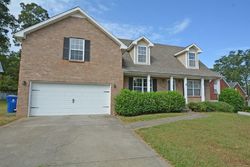 Pre-foreclosure in  CHANNELVIEW CT Clarksville, TN 37040