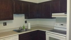 Pre-foreclosure Listing in BEAU MONDE DR APT 209 LISLE, IL 60532