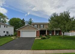 Pre-foreclosure in  W MALLARD DR Palatine, IL 60067