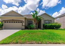 Pre-foreclosure in  EDGEMERE DR Spring Hill, FL 34609