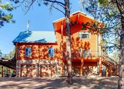 Pre-foreclosure Listing in TROUT CREEK RD WOODLAND PARK, CO 80863