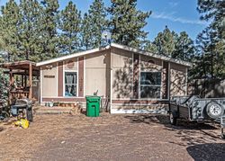 Pre-foreclosure in  W YOUNG Show Low, AZ 85901
