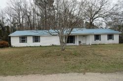 Pre-foreclosure in  PALMER CIR Leroy, AL 36548