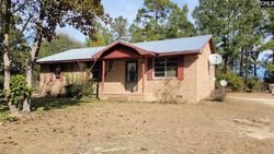 Pre-foreclosure Listing in BAY RD ROWESVILLE, SC 29133