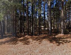 Pre-foreclosure in  STAGVILLE RD Bahama, NC 27503