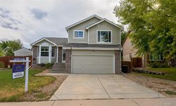 Pre-foreclosure in  BIRCH DR Denver, CO 80241