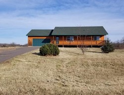 Pre-foreclosure Listing in AUTUMN CT STANCHFIELD, MN 55080