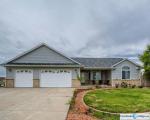 Pre-foreclosure Listing in E 147TH PL KEENESBURG, CO 80643