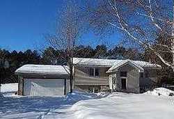 Pre-foreclosure in  ZEOLITE ST NW Anoka, MN 55303