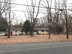 Pre-foreclosure in  MCKISHEN RD Elmer, NJ 08318