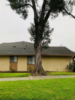 Pre-foreclosure in  CORCORAN AVE  Vallejo, CA 94589