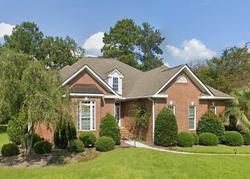 Pre-foreclosure in  CARO CT Chapin, SC 29036