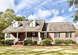 Pre-foreclosure in  BUCK DR Georgetown, SC 29440