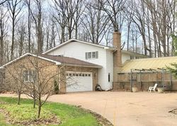 Pre-foreclosure in  HERMITAGE RD Painesville, OH 44077