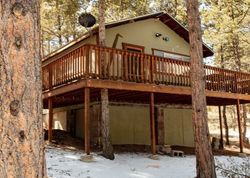 Pre-foreclosure in  BUCKSKIN CIR Florissant, CO 80816