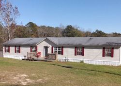 Pre-foreclosure Listing in COUNTY ROAD 508 NEWVILLE, AL 36353