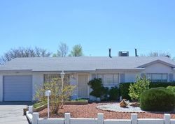 Pre-foreclosure in  LUTHY CIR NE Albuquerque, NM 87112