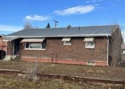 Pre-foreclosure Listing in WILLOW DR ECKERT, CO 81418
