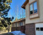 Pre-foreclosure in  PENNSYLVANIA AVE Woodland Park, CO 80863