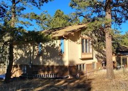 Pre-foreclosure in  PENNSYLVANIA AVE Woodland Park, CO 80863