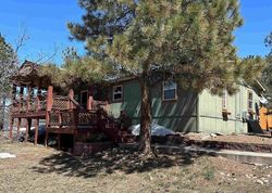 Pre-foreclosure in  BROWNS LAKE RD Durango, CO 81303