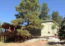Pre-foreclosure Listing in BROWNS LAKE RD DURANGO, CO 81303