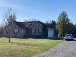 Pre-foreclosure in  OLD LOGGING RD Doe Run, MO 63637