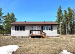 Pre-foreclosure Listing in POSTEL DR MOTLEY, MN 56466