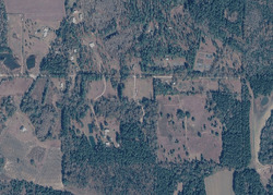  Bruner Dairy Rd, Vernon FL