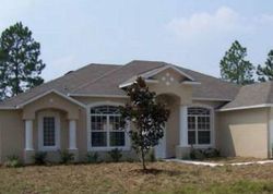 Pre-foreclosure in  WHITE HAVEN LN Palm Coast, FL 32164