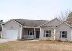 Pre-foreclosure in  BOYSENBERRY FIELDS RD Maple Hill, NC 28454