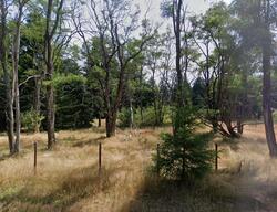 Pre-foreclosure in  RAINIER ACRES RD SE Rainier, WA 98576