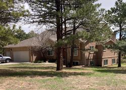 Pre-foreclosure in  S SHERWOOD GLN Monument, CO 80132