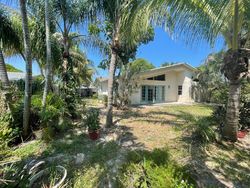Pre-foreclosure in  IBIS DR Delray Beach, FL 33444
