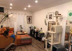 Pre-foreclosure in  HALSEY ST Brooklyn, NY 11207
