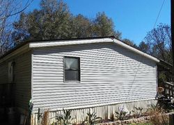 Pre-foreclosure in  SW COUNTY ROAD 18 Fort White, FL 32038