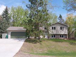 Pre-foreclosure in  158TH LN NW Anoka, MN 55303