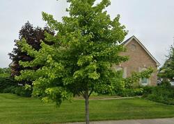 Pre-foreclosure in  ANCHORAGE CT Novi, MI 48374