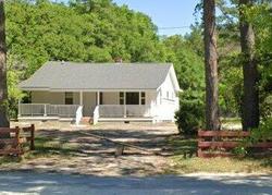 Pre-foreclosure Listing in OLD CEMETARY RD JAMESTOWN, SC 29453