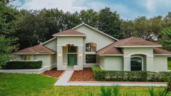 Pre-foreclosure in  WHITE EAGLE CIR Saint Augustine, FL 32086