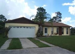 Pre-foreclosure in  REDWOOD CT Kissimmee, FL 34743