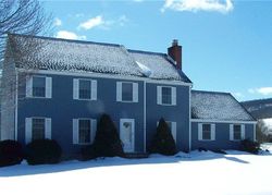 Pre-foreclosure Listing in LIMERICK LN HOMER, NY 13077