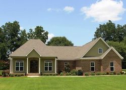 Pre-foreclosure in  STILLWATER DR Lucedale, MS 39452