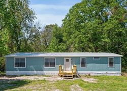 Pre-foreclosure Listing in ORCHID AVE MIDDLEBURG, FL 32068