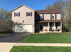 Pre-foreclosure in  RIVERWOOD DR Algonquin, IL 60102