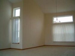 Pre-foreclosure in  BARN OWL DR Matteson, IL 60443